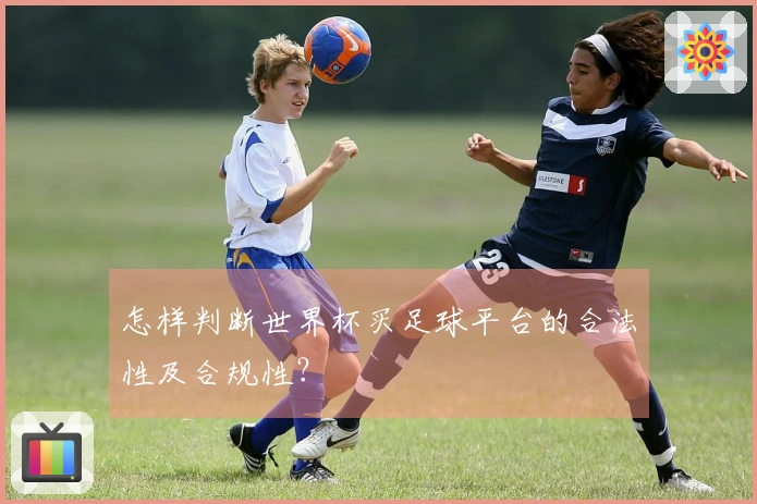 怎样判断世界杯买足球平台的合法性及合规性？