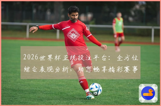 2026世界杯正规投注平台：全方位综合表现分析，助您畅享精彩赛事直播入口