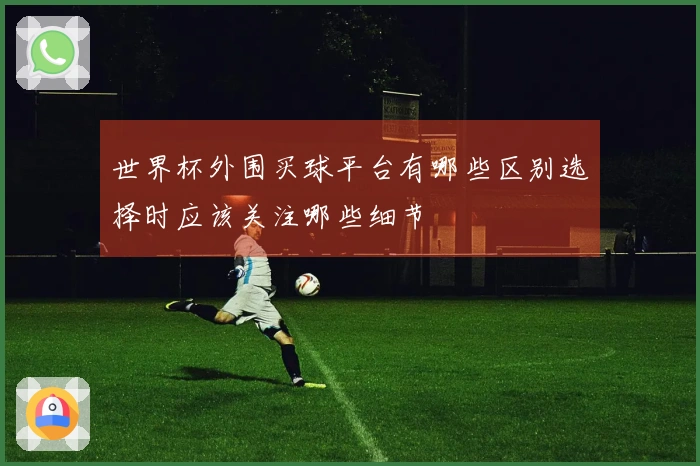 世界杯外围买球平台有哪些区别选择时应该关注哪些细节
