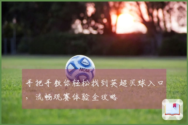手把手教你轻松找到英超买球入口，流畅观赛体验全攻略