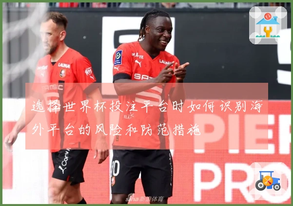 选择世界杯投注平台时如何识别海外平台的风险和防范措施