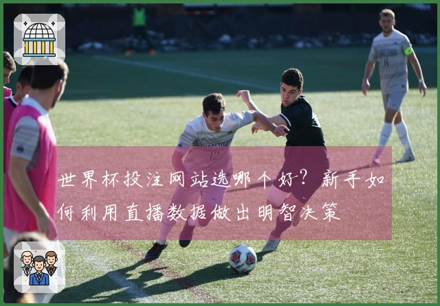 世界杯投注网站选哪个好？新手如何利用直播数据做出明智决策