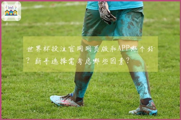 世界杯投注官网网页版和APP哪个好？新手选择需考虑哪些因素？