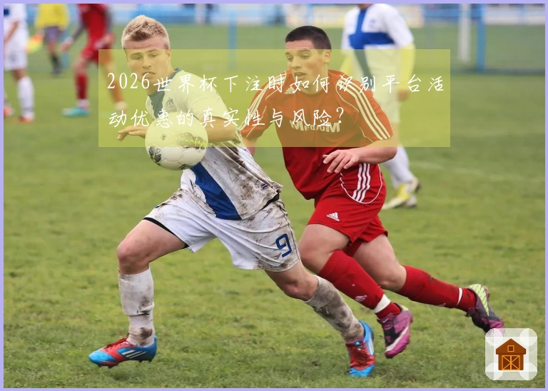 2026世界杯下注时如何识别平台活动优惠的真实性与风险？
