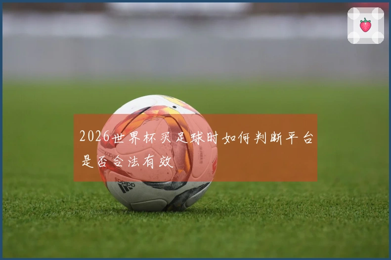 2026世界杯买足球时如何判断平台是否合法有效