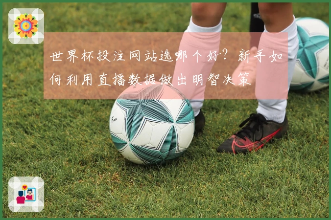 世界杯投注网站选哪个好？新手如何利用直播数据做出明智决策