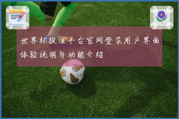世界杯投注平台官网登录用户界面体验说明与功能介绍