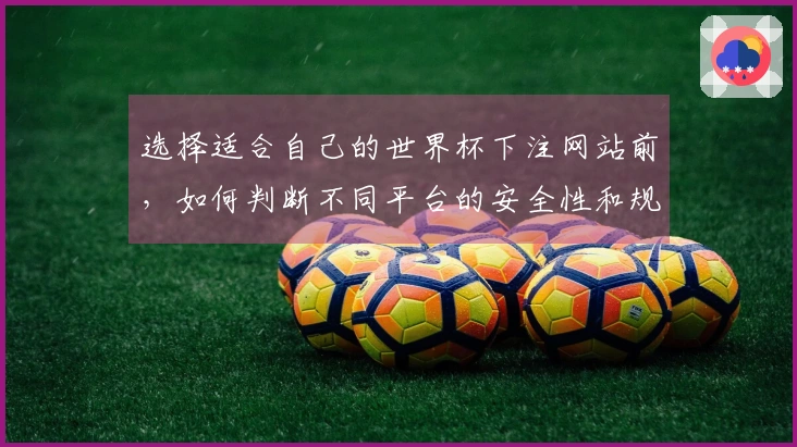 选择适合自己的世界杯下注网站前，如何判断不同平台的安全性和规则？