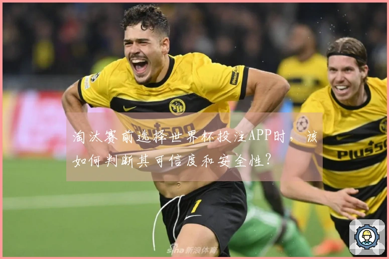 淘汰赛前选择世界杯投注APP时,该如何判断其可信度和安全性?
