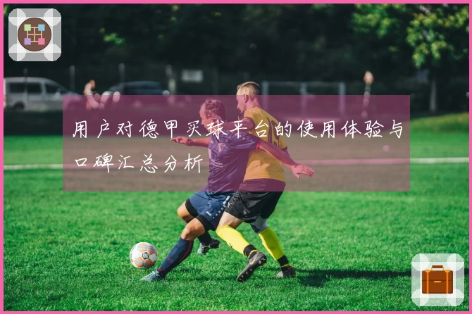 用户对德甲买球平台的使用体验与口碑汇总分析