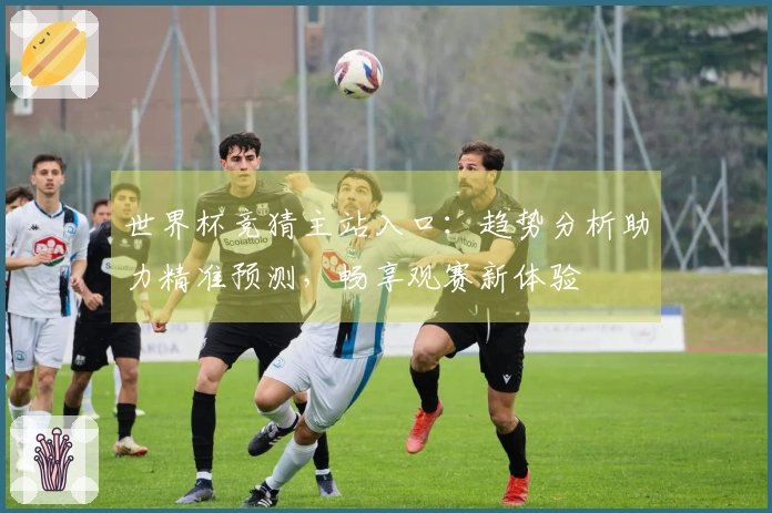世界杯竞猜主站入口：趋势分析助力精准预测，畅享观赛新体验