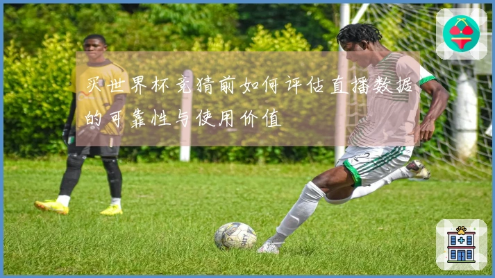 买世界杯竞猜前如何评估直播数据的可靠性与使用价值