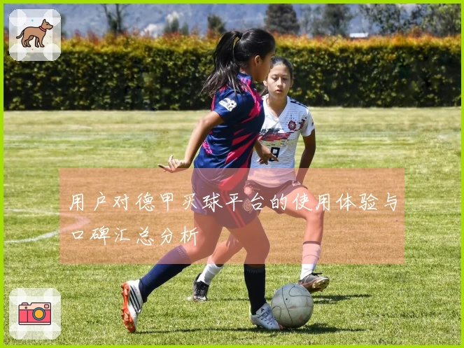 用户对德甲买球平台的使用体验与口碑汇总分析